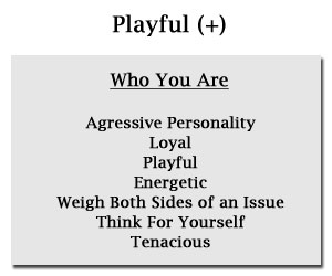 Playful Personality